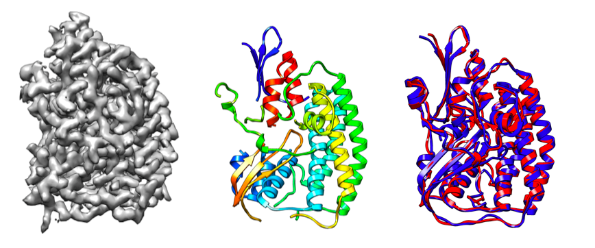 Model Building for CryoEM – Institute for Protein Design