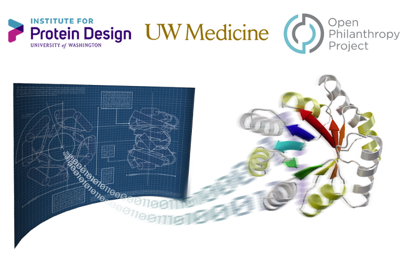 Open Philanthropy Project Awards $11.3 Million  to Institute for Protein Design at UW Medicine