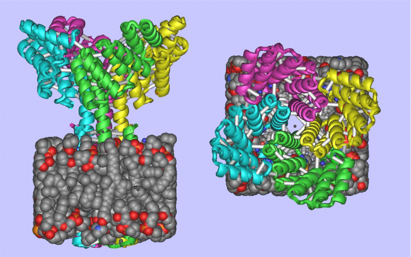 De Novo Design of Membrane Proteins