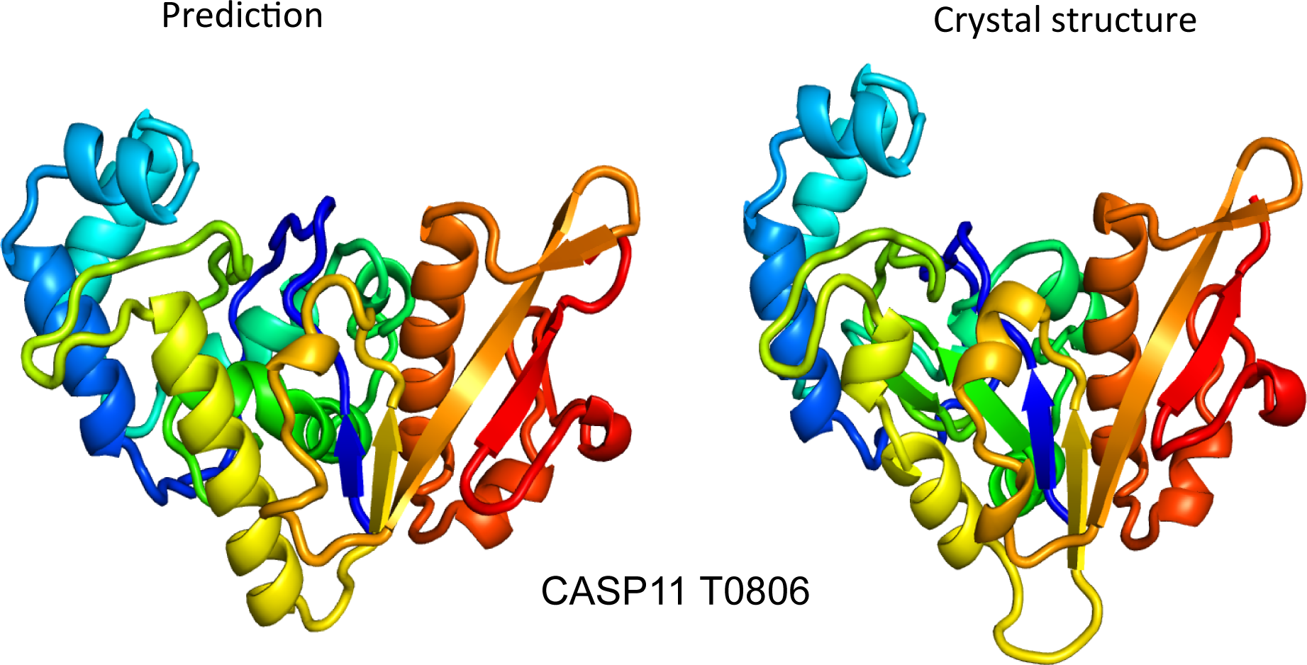 CASP3-11 Results Published in E-Life