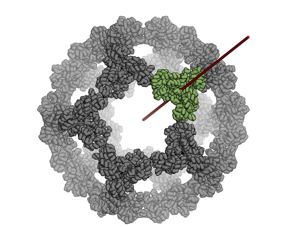 Icosahedral protein nanocage – new paper and podcast