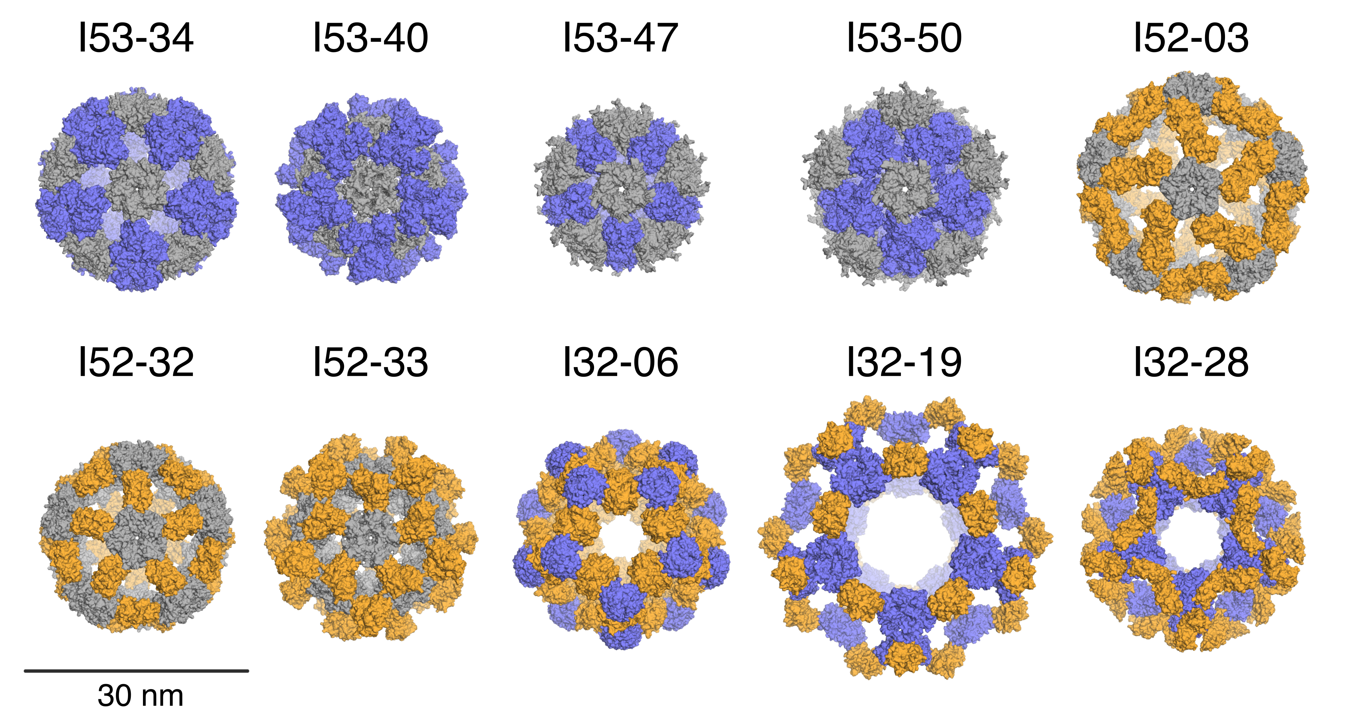 Designed Protein Containers Push Bioengineering Boundaries