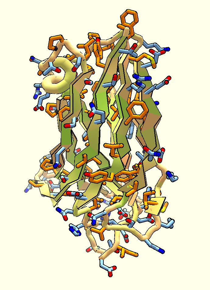 Limb Girdle Muscular Dystrophy Day and New Foldit puzzle