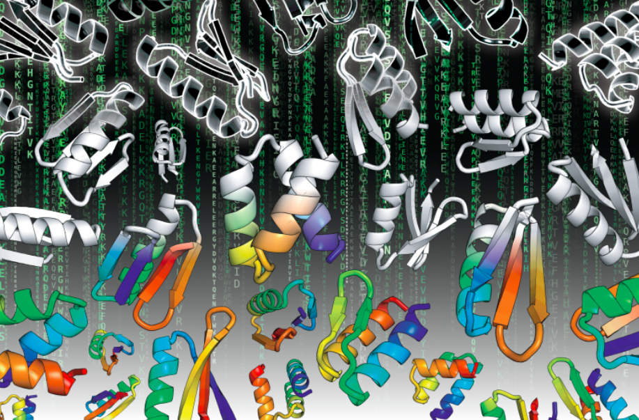 The Matrix of Protein Design