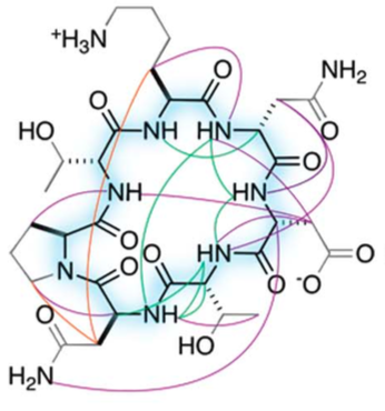 A New World of Designed Macrocycles