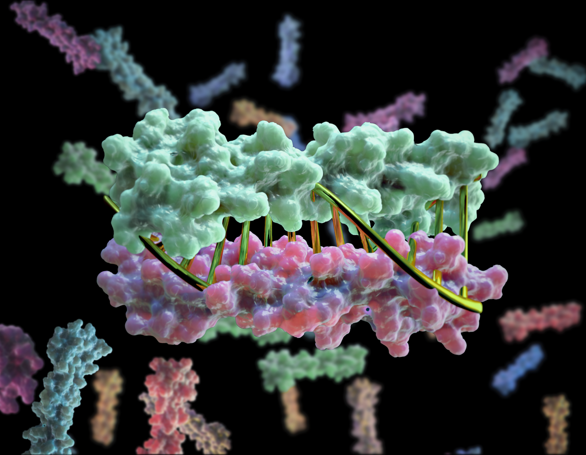 New designer proteins mimic DNA