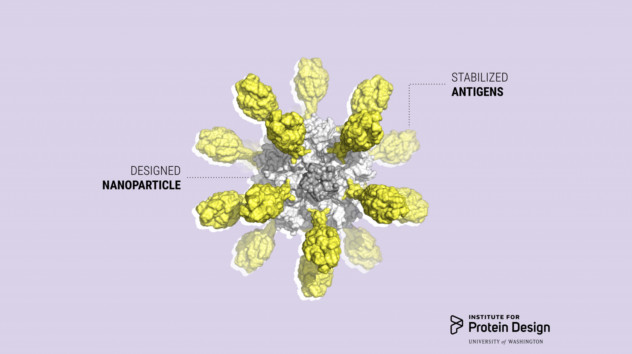 Icosavax launches to advance designer vaccines