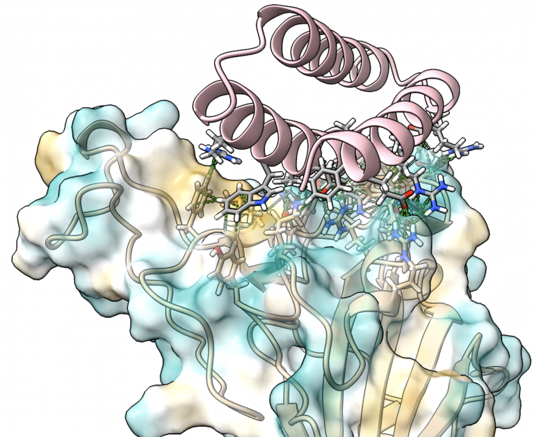 Rosetta’s role in fighting coronavirus Institute for Protein Design
