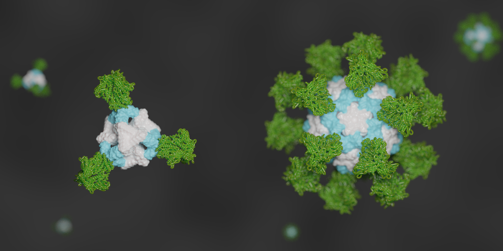 De novo nanoparticles as vaccine scaffolds