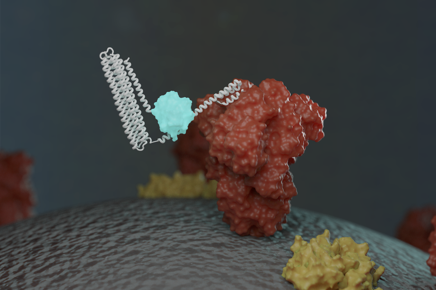 New sensors detect coronavirus proteins and antibodies