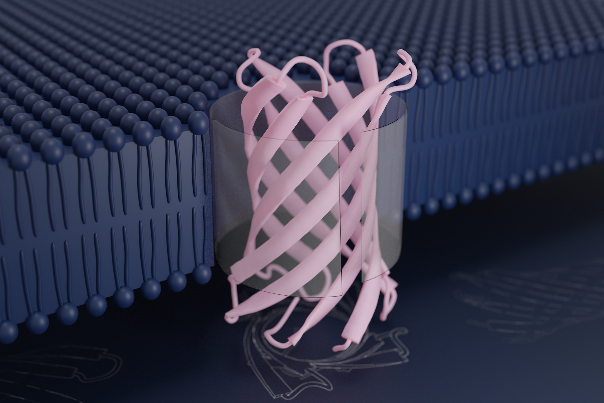 Design of transmembrane beta barrels