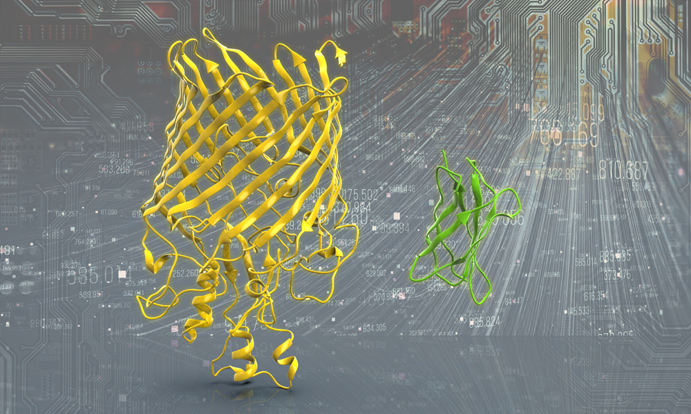 trRosetta yields structures for every protein family