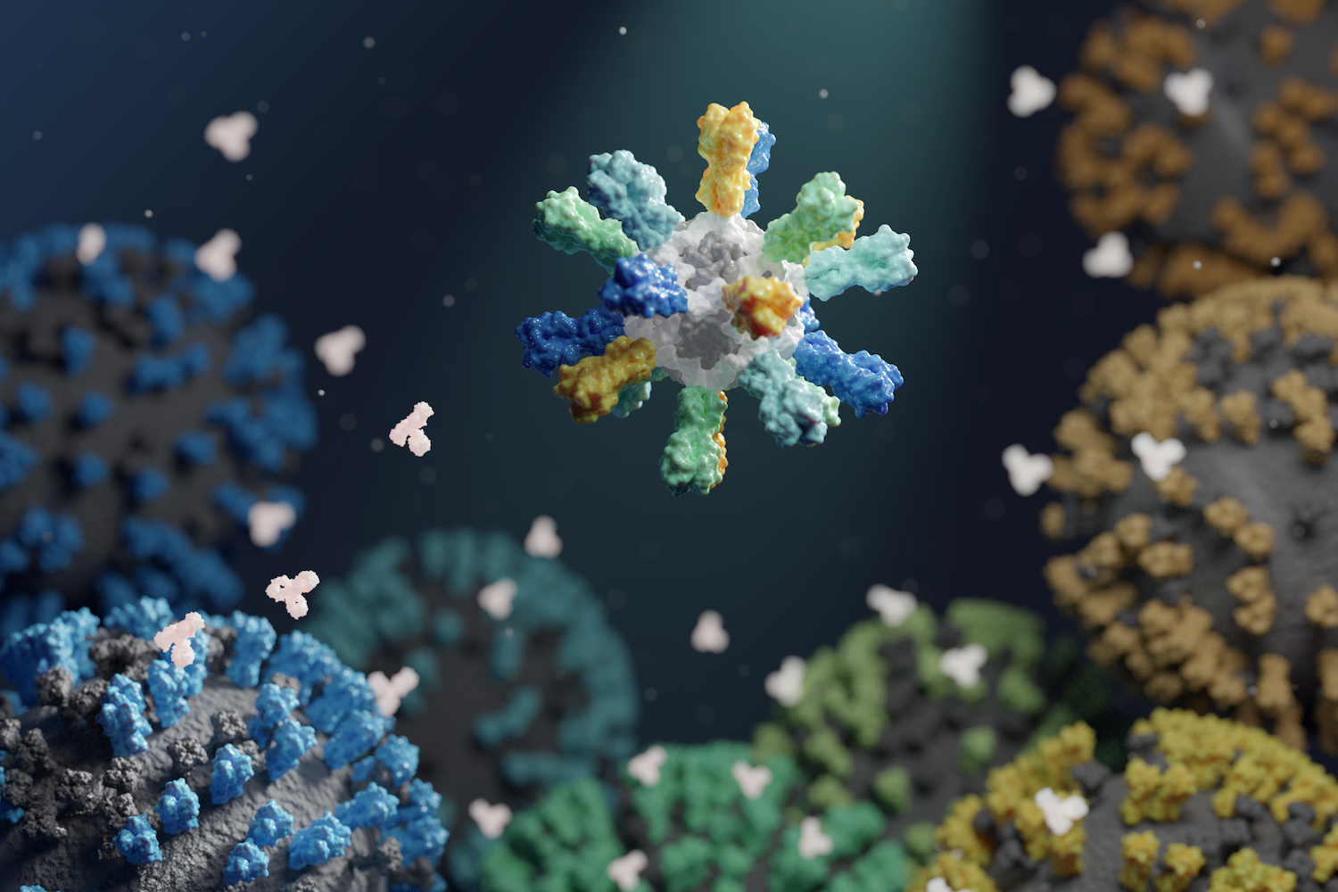 NIH highlights the King Lab’s universal flu vaccine research