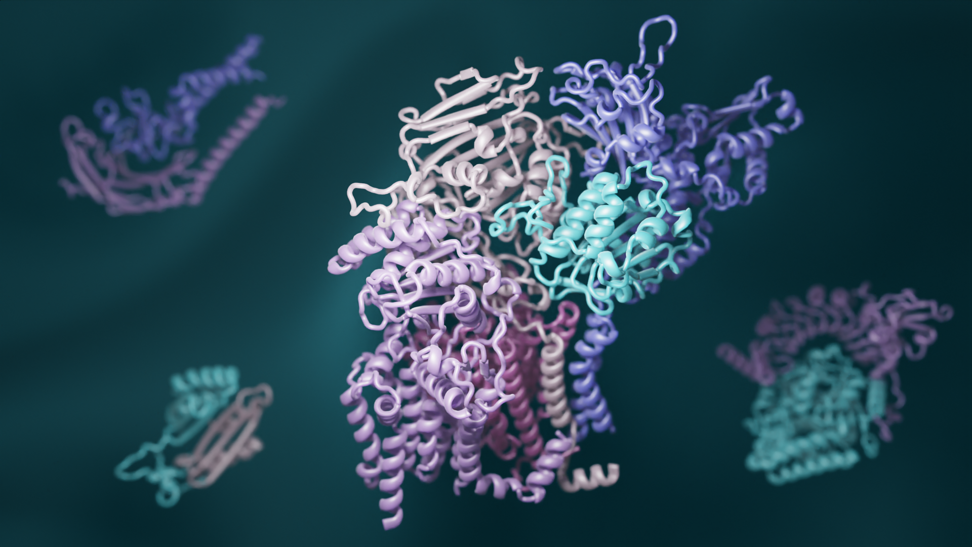 Deep learning reveals how proteins interact