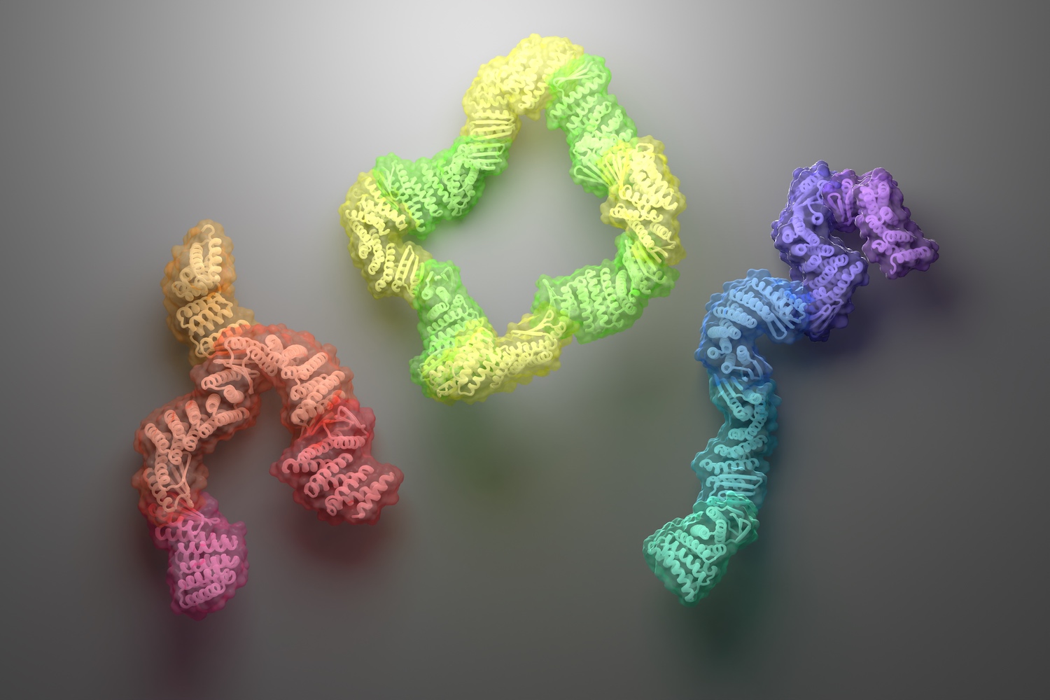 Diverse protein assemblies by (negative) design