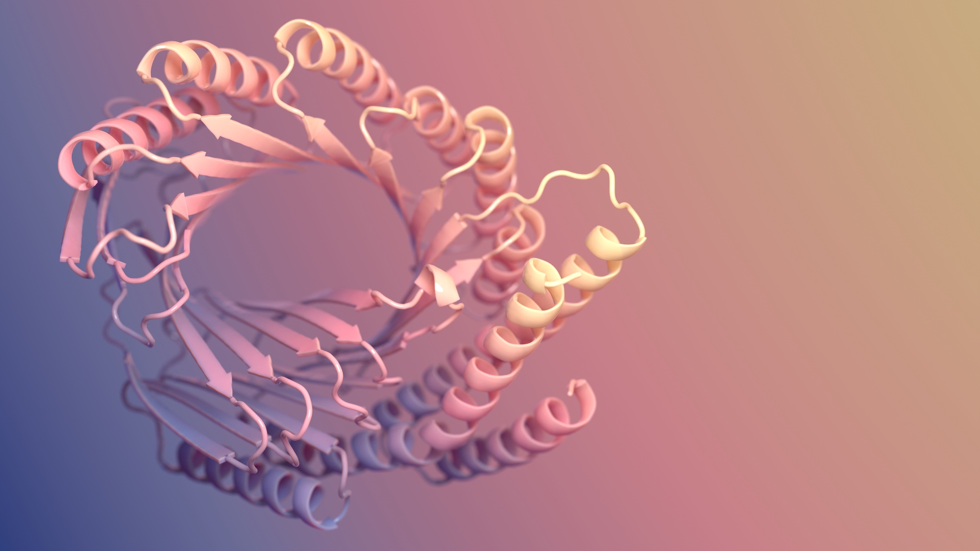 A diffusion model for protein design