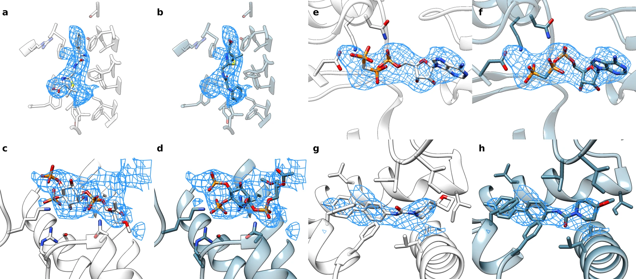 EMERALD: Automatically locate ligands in cyroEM maps