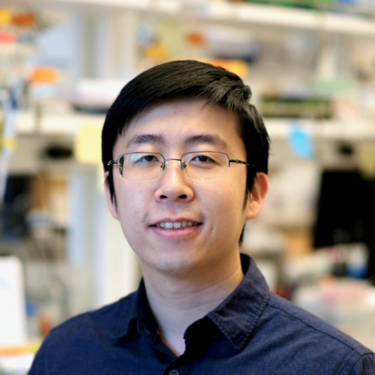 Top-down design of protein architectures with reinforcement learning