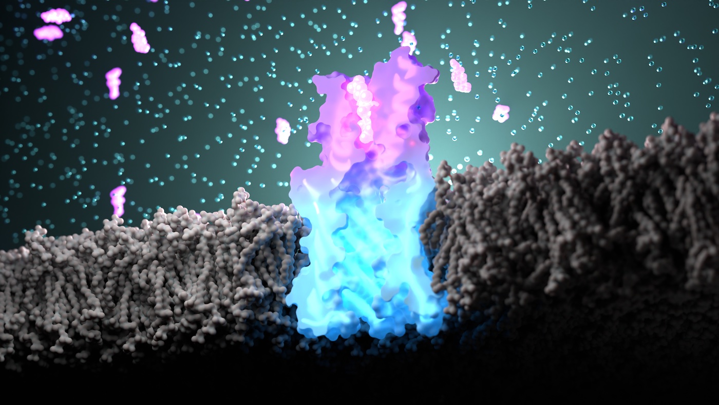 Designing synthetic smell receptors